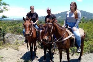 Tours en paseo en caballo