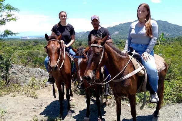 Tours en paseo en caballo